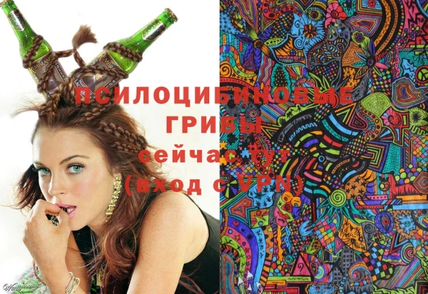 a pvp Арсеньев
