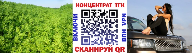 ТГК Wax  Сельцо 